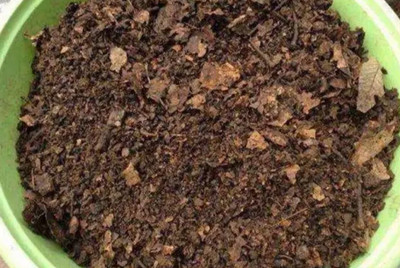 什么肥料能让土壤变松（解读用什么肥料改善土质）